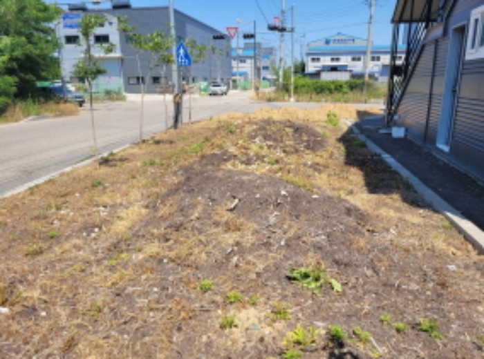 별지목록 1, 4, 6 전경