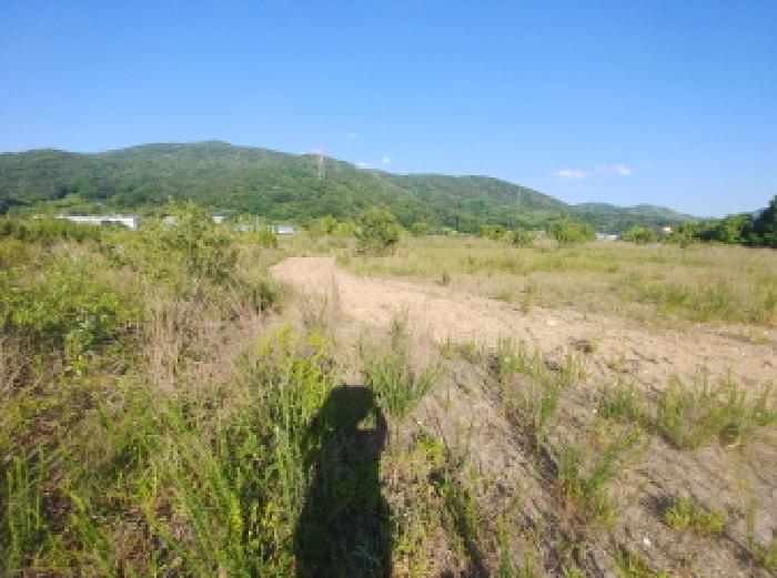 목록1번,2번,3번 토지모습 