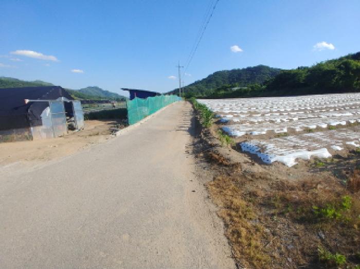 주변도로