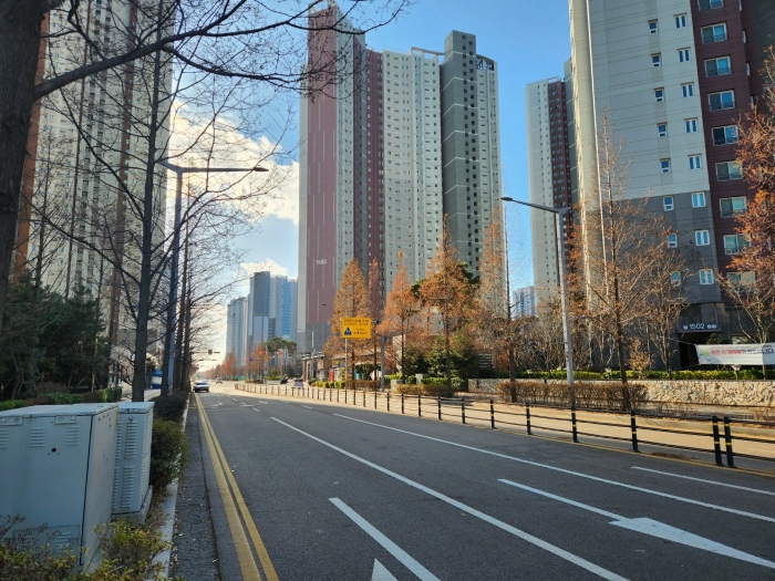 남서측 도로변 전경