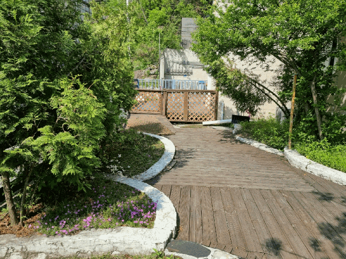 본건 테라스 및 조경수