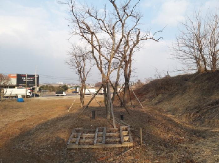 * 본건 목록 2. 전경(명칭미상 나무)
