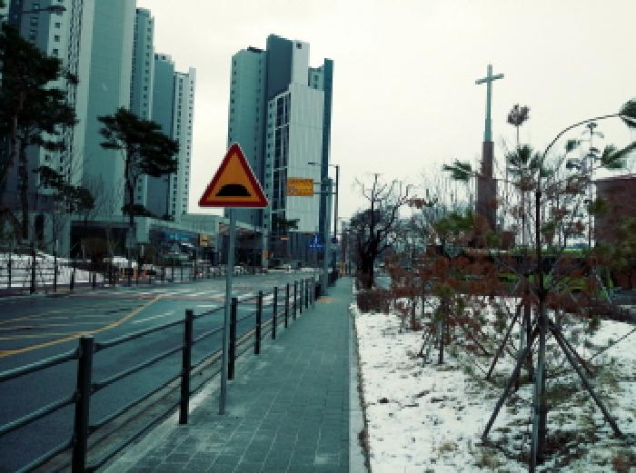 * 도로 전경