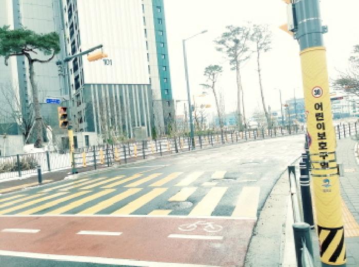 * 도로 전경