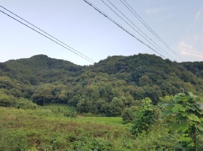 제시부동산 전경