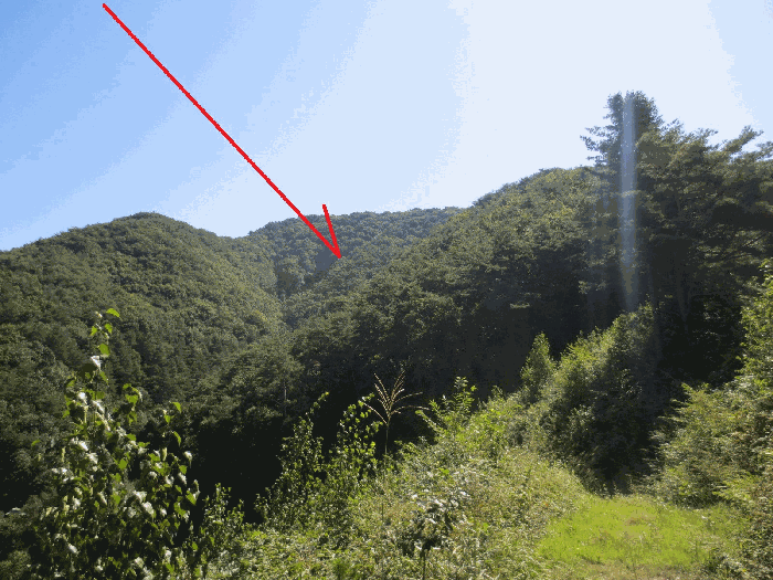 본건 전경