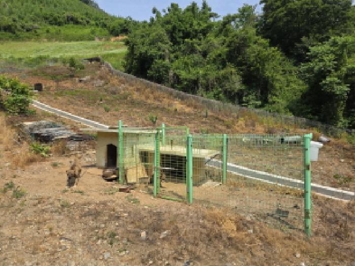 제시외 조립식판넬조 휀스 견사