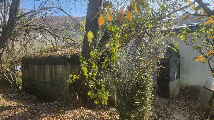 제시외 비닐하우스(ㄱ)