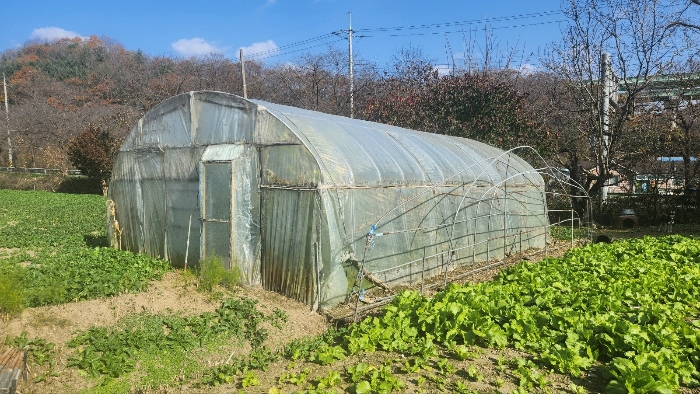 제시외 비닐하우스(ㄷ)