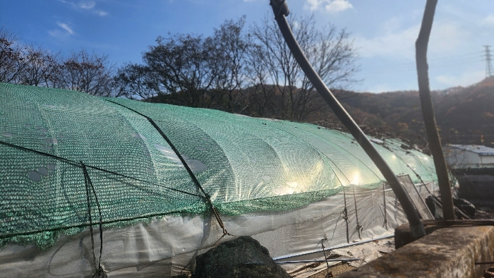 제시외 비닐하우스(ㄹ)