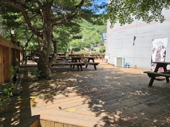 물건번호1 데크,수목