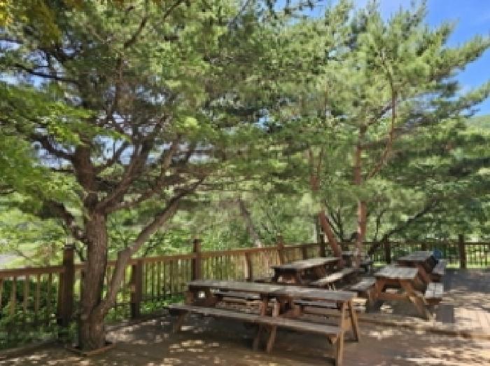 물건번호1 데크,수목