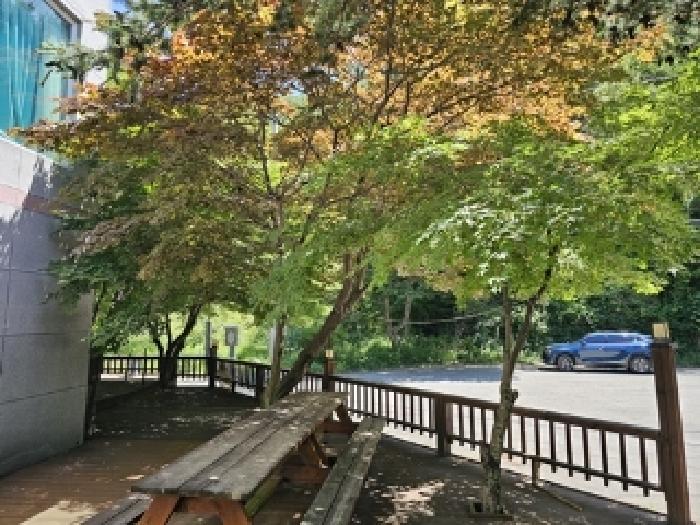 물건번호1 데크,수목