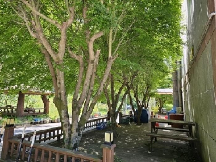 물건번호1 데크,수목