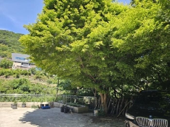 물건번호1 수목