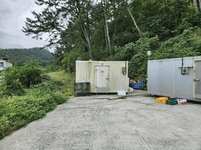본건 지상의 이동이 용이한 제시외 건물