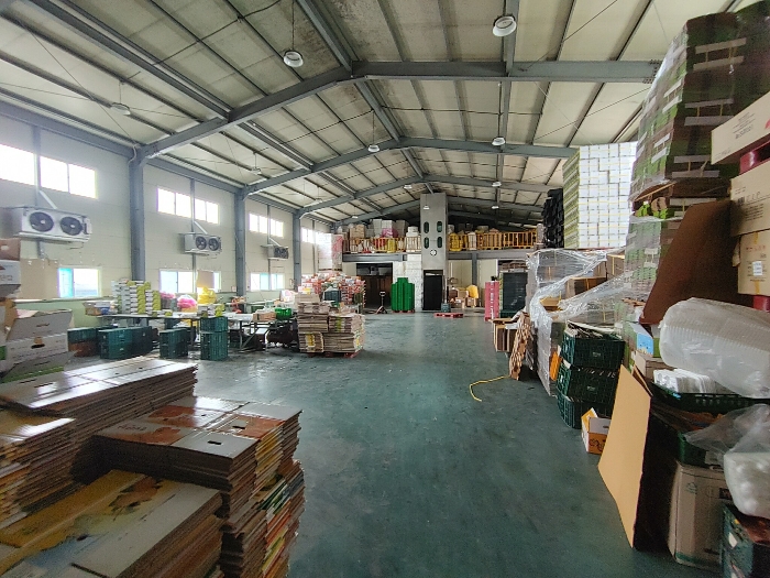 【 본 건 전 경 : 기호 ② 】