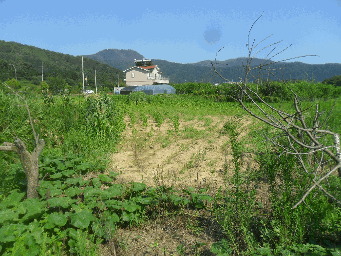 본건전경