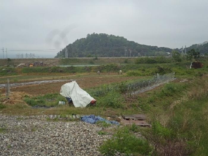 본건 전경