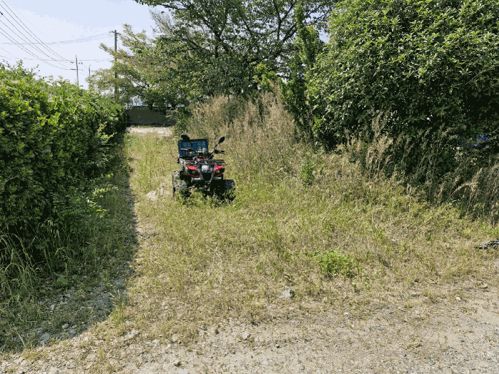 기호 5 토지 및 제시외 수목
