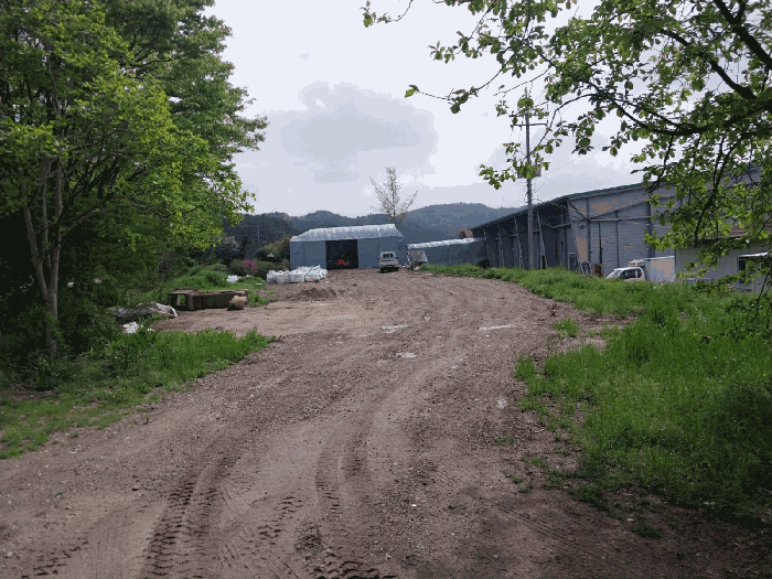 본 건 전 경
(기호 1, 4)