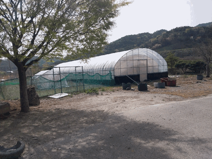 본 건 전 경(기호 6)
(비닐하우스)