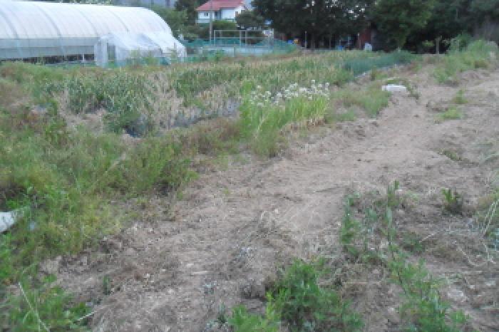 부동산표시 제3호