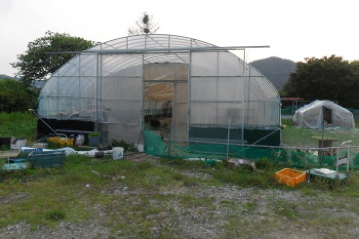 부동산표시 제6호 제시외