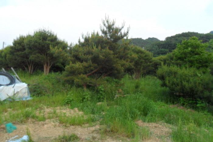 부동산표시 제6호 경계