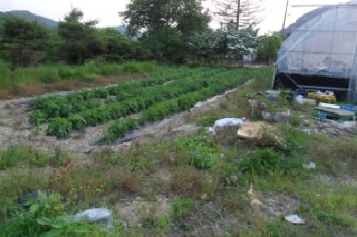 부동산표시 제6호