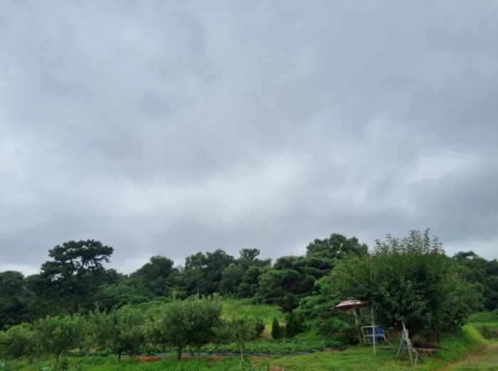 전경(1)