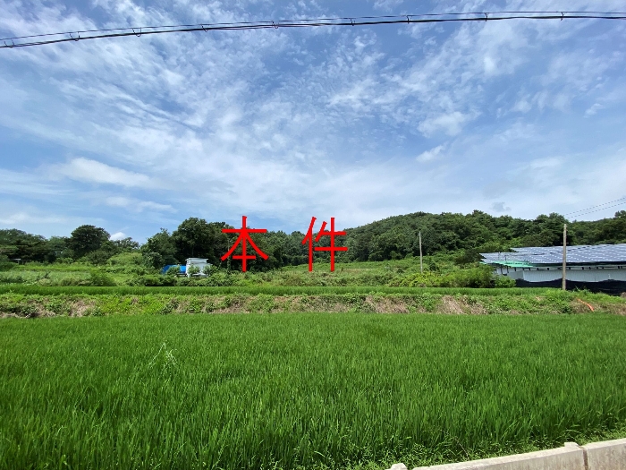 본건전경