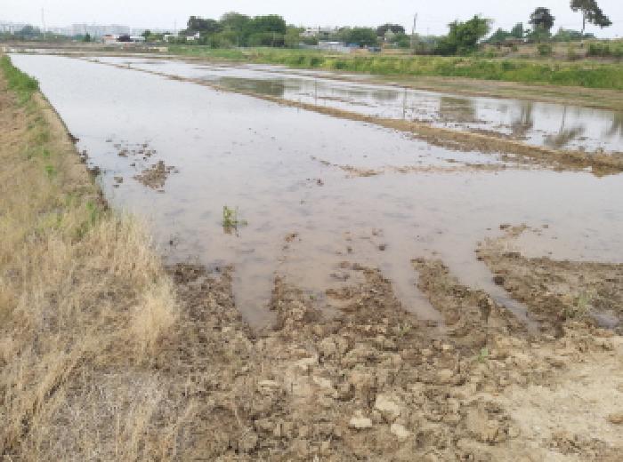* 본건 목적물 전경