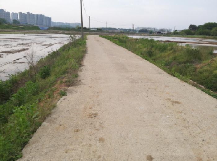 * 본건 목적물 인접도로 전경