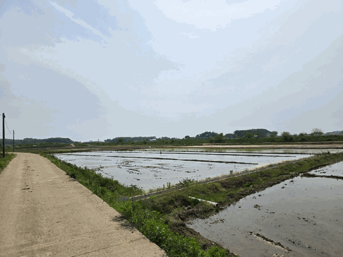 대상토지 전경