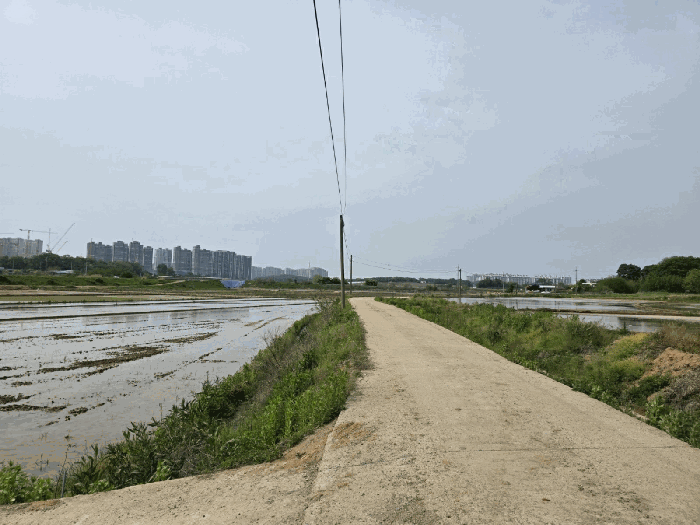 대상토지 주위전경