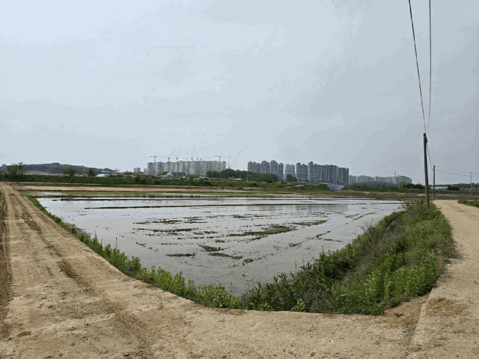 대상토지 전경