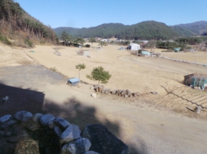 기호 3번 근거리에서 촬영한 것임