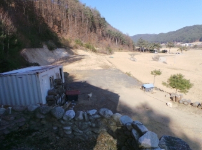 기호 3번 근거리에서 촬영한 것임