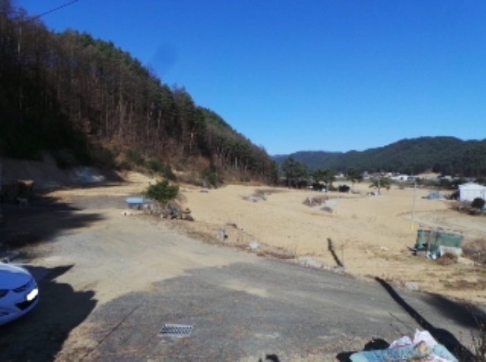 기호 3번 근거리에서 촬영한 것임