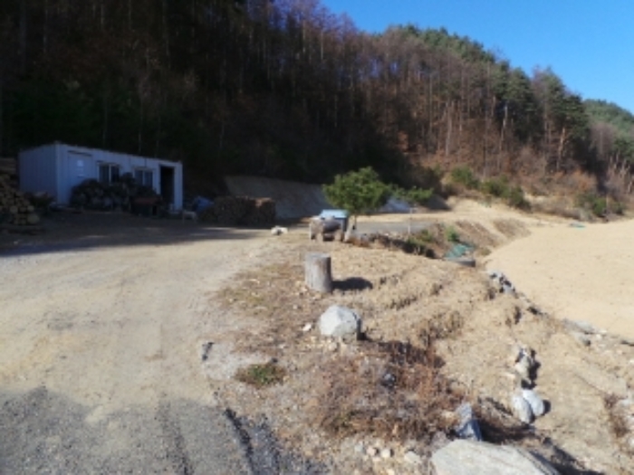 기호 3번 근거리에서 촬영한 것임