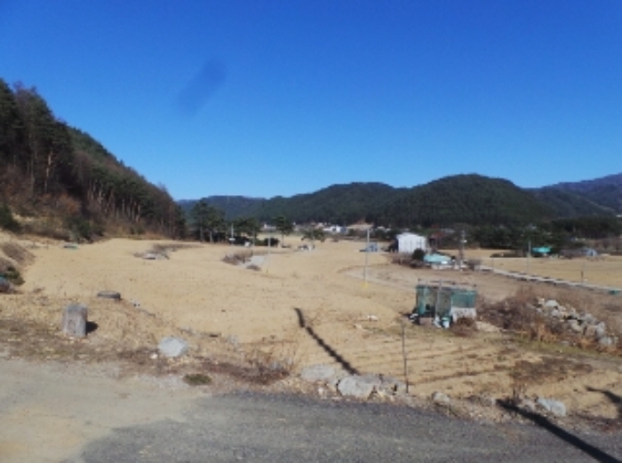 기호 3번 근거리에서 촬영한 것임