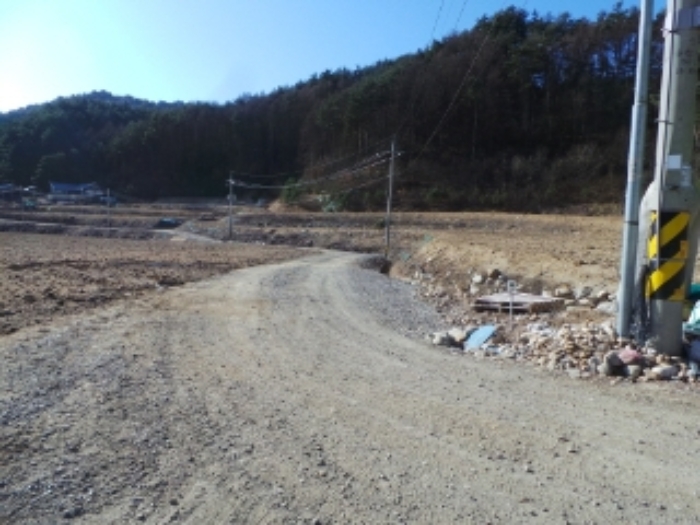 기호 1번 근거리에서 촬영한 것임