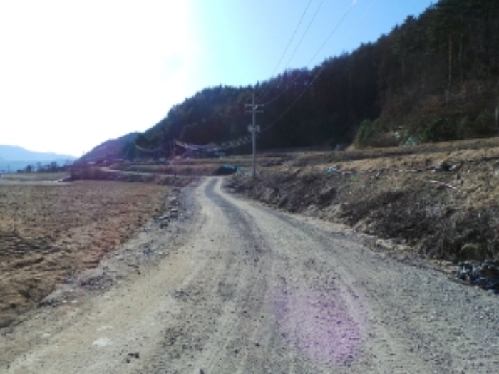 기호 1번 근거리에서 촬영한 것임