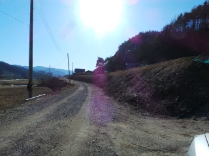 기호 1,2번 근거리에서 촬영한 것임