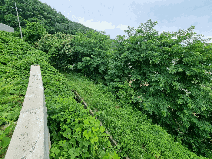 기호4에서 바라본 기호8전경