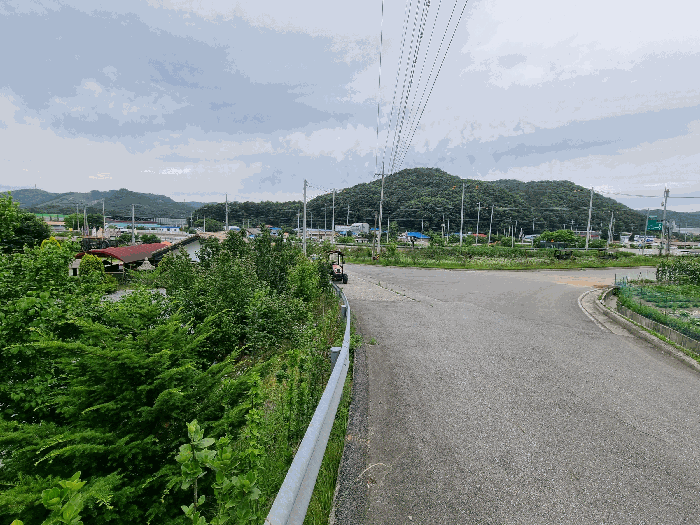 기호5 주변 전경