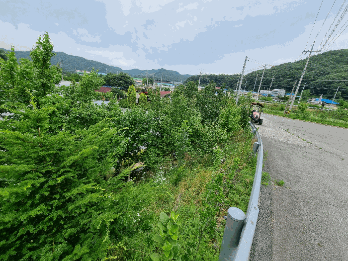 기호5 전경(좌측 법면 부분)