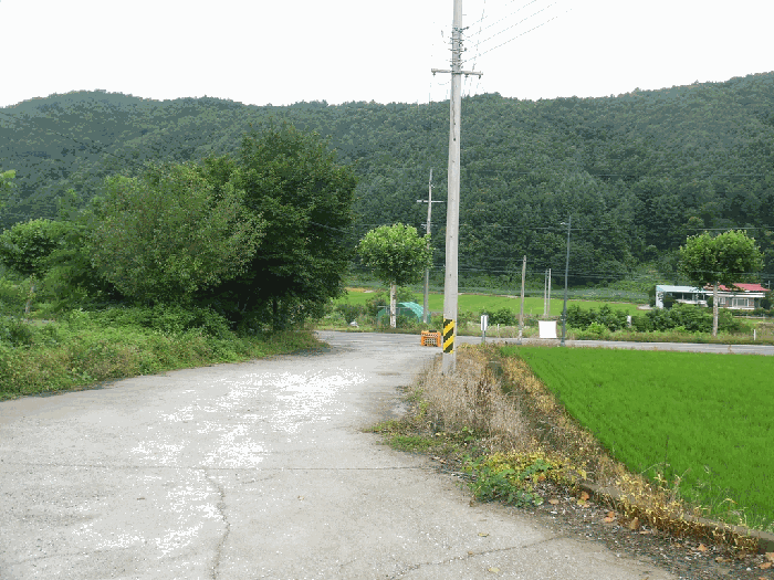 일련번호5~7 전경