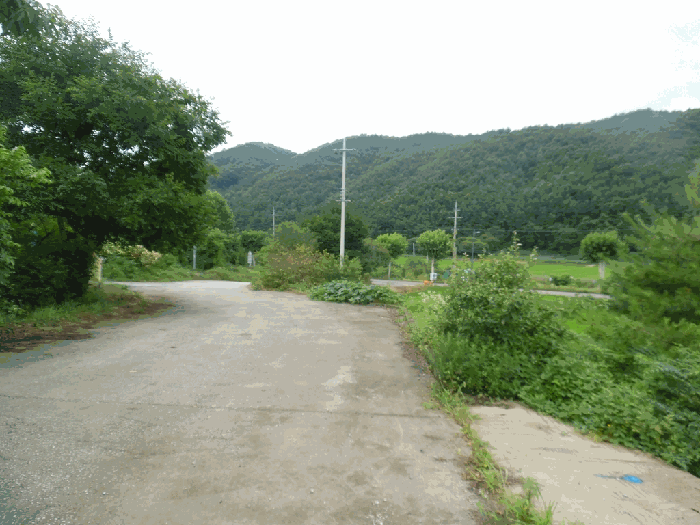 일련번호8 전경